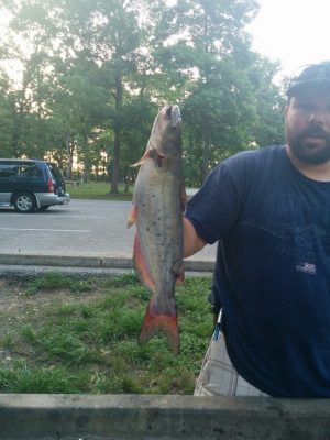 Catfish for dinner tonight!