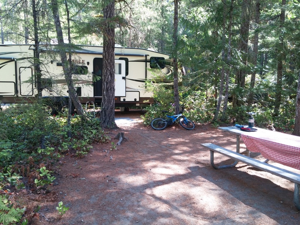 Angie found us the best campsite at Newhalem Campground, North Cascades National Park