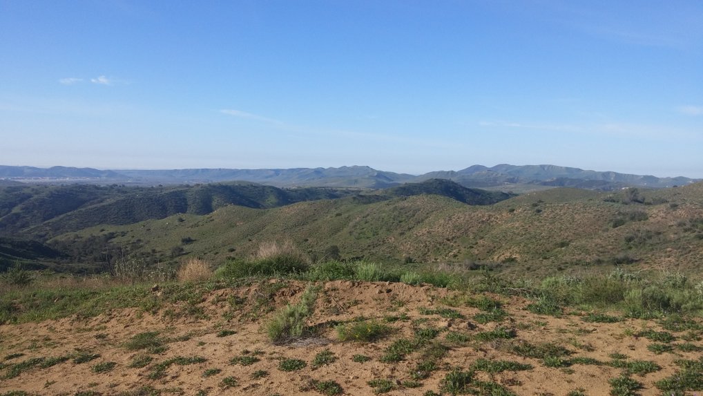 Mountain biking