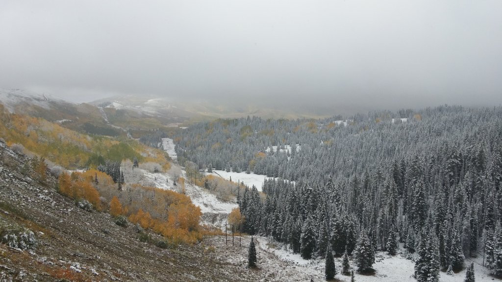 Snow in Big Cottonwood Canyon