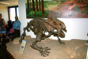 Triassic fossils from Petrified Forest National Park