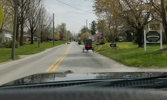 Amish buggies on the street