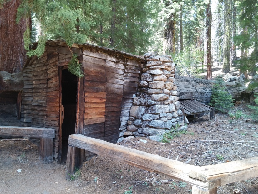 Tharp's Log - Cabin built into a fallen sequoia