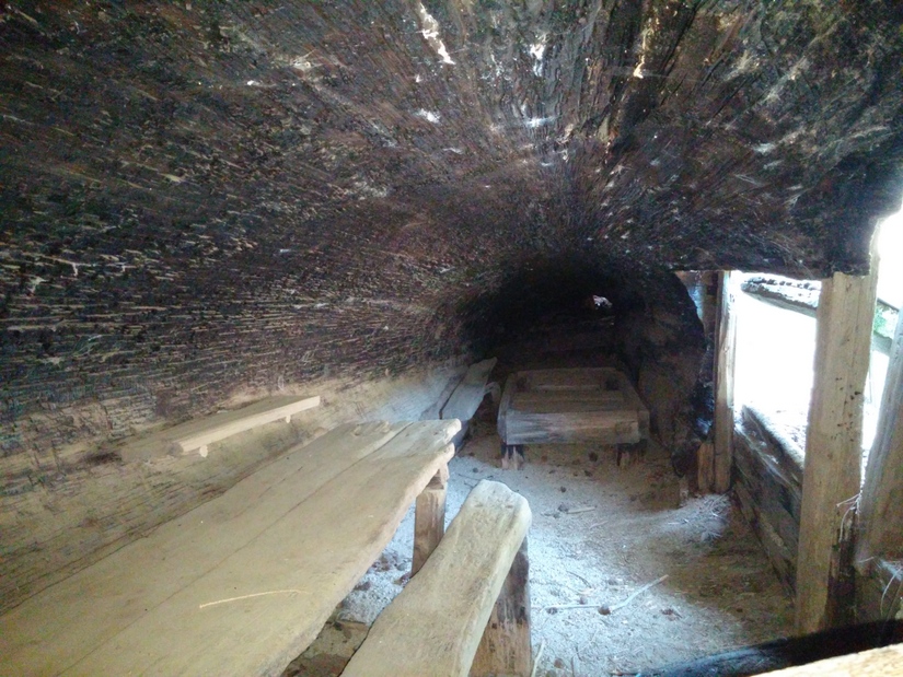 Inside Tharp's Log