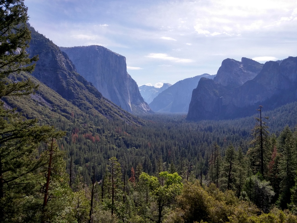Yosemite Valley, Yosemite National Park