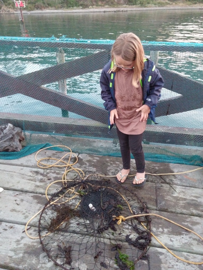 Crabbing off the dock at Sportsman's