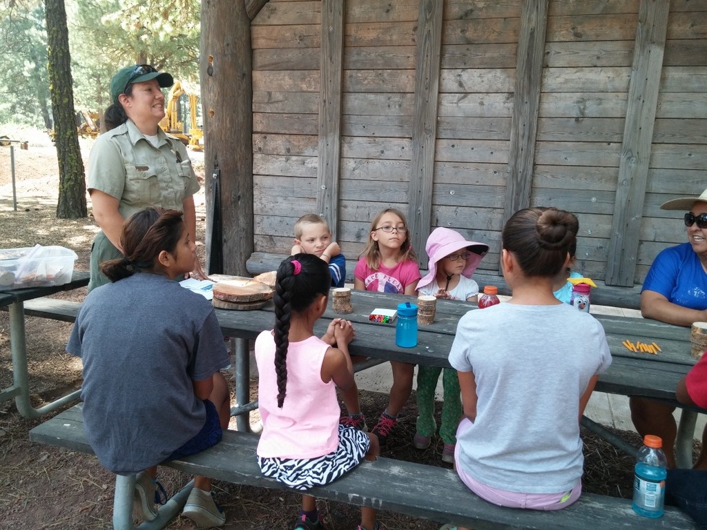 Learning about tree rings at Collier State Park