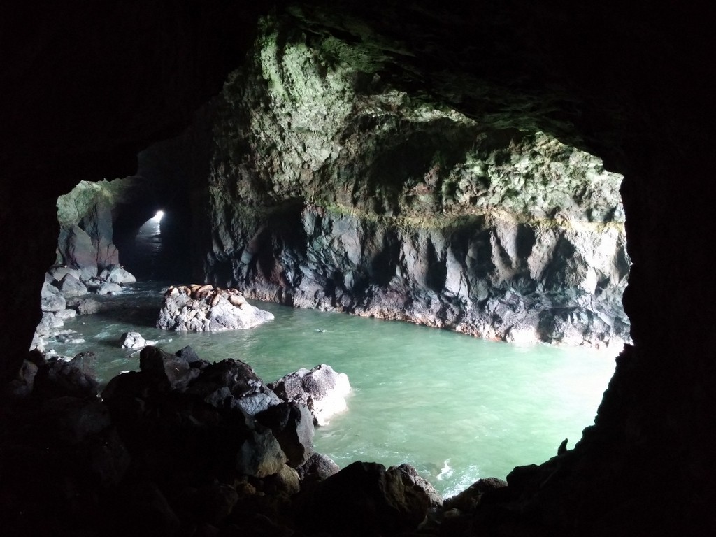 Sea Lion Caves