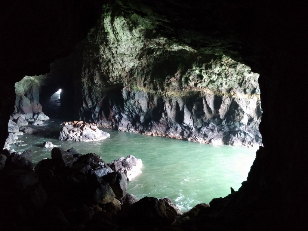 Sea Lion Caves