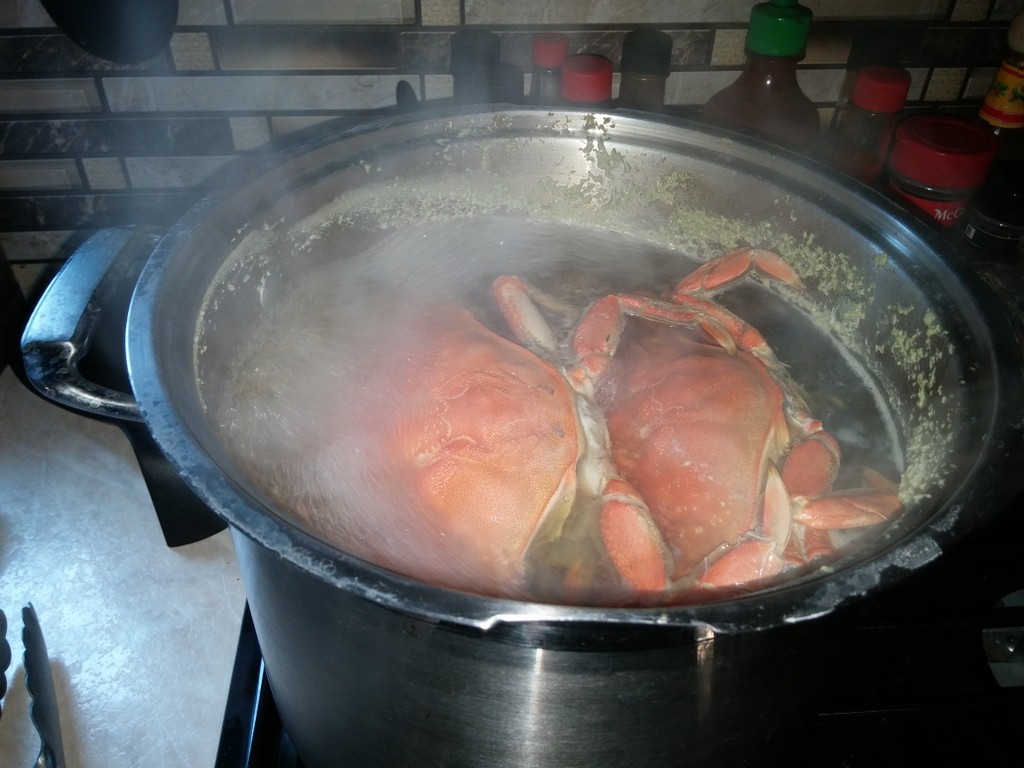 Having a good ole crab boil