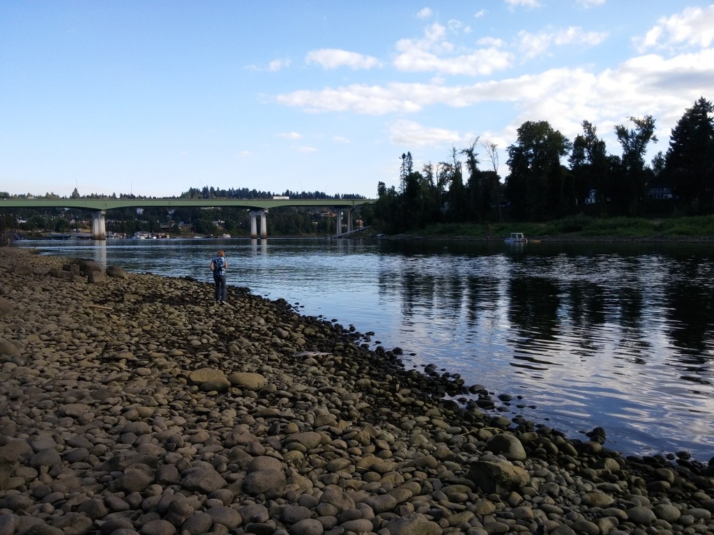 Willamette River, Clackamette Park, Oregon City