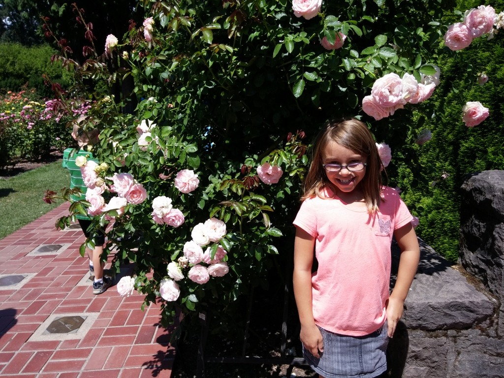 Portland Rose Gardens