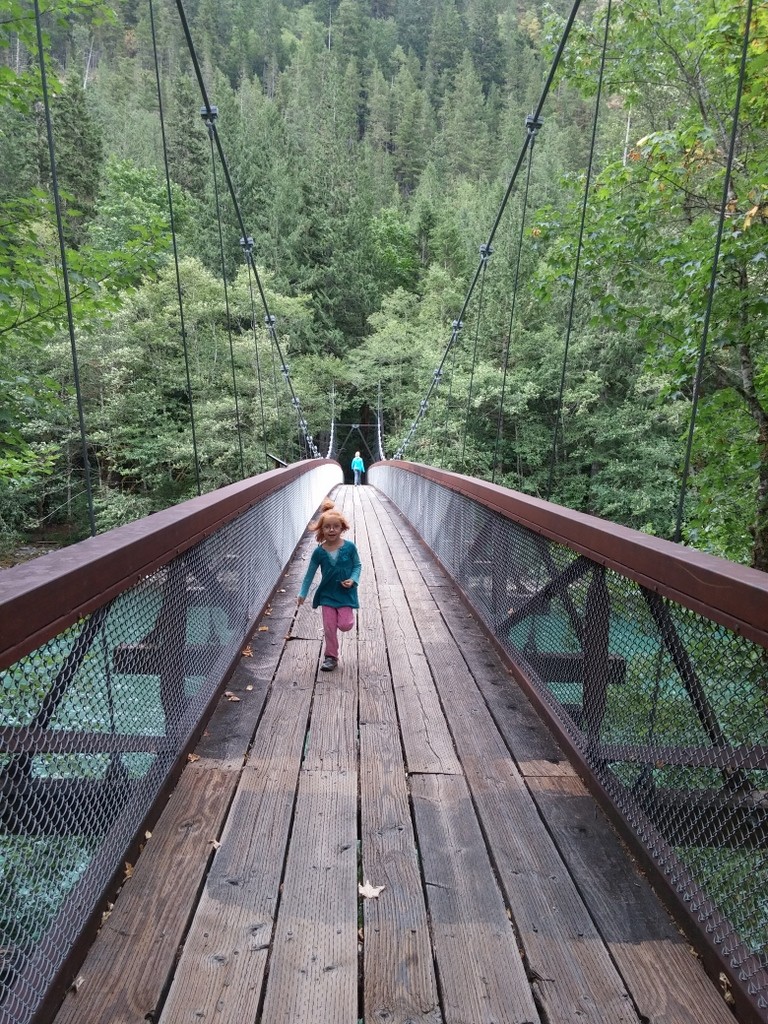 Bridge over Skagit River