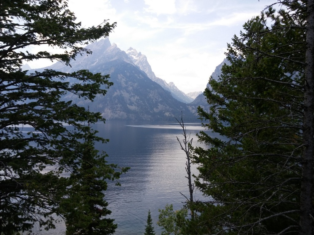 Jenny Lake