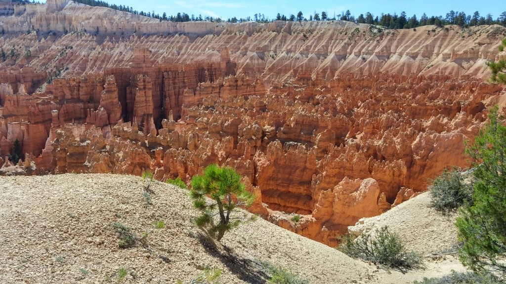 Bryce Canyon