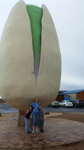Largest pistachio in the world!