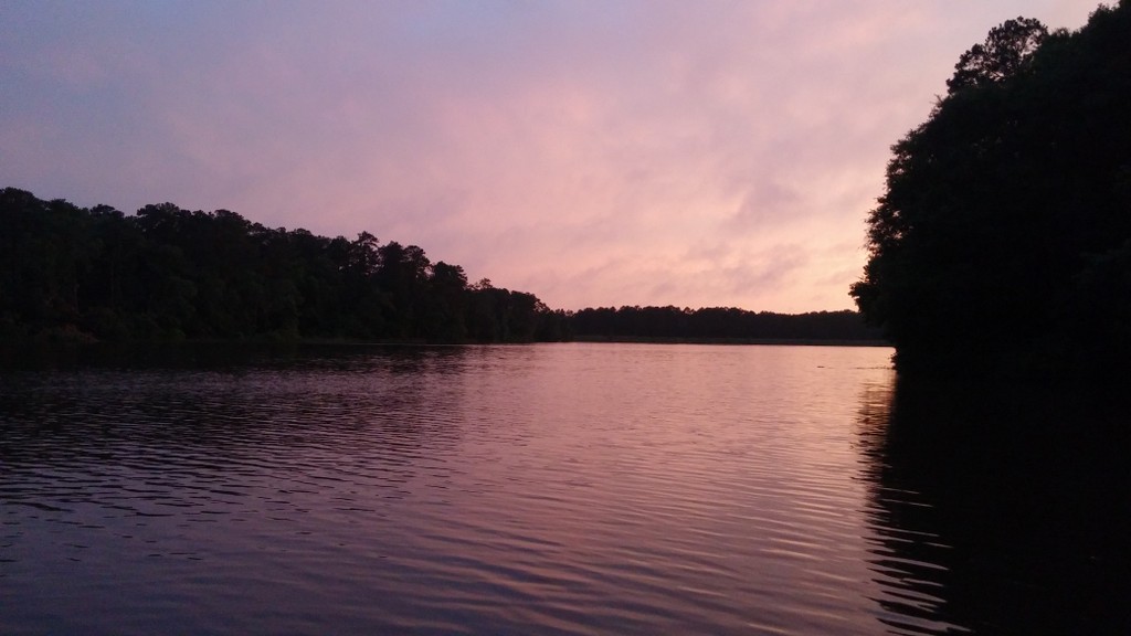 Texas Part II Watch Out for Chiggers! Five in a 5th