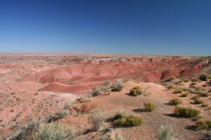 Painted Desert - Petrified Forest National Park