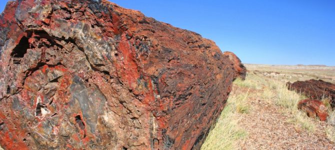 Gigantic Meteor Crater, a Painted Desert, and a Petrified Forest