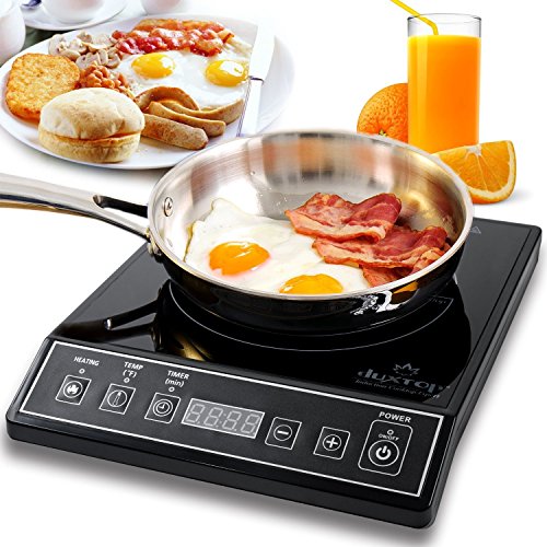 Portable Induction Cooktop Burner for RV kitchens